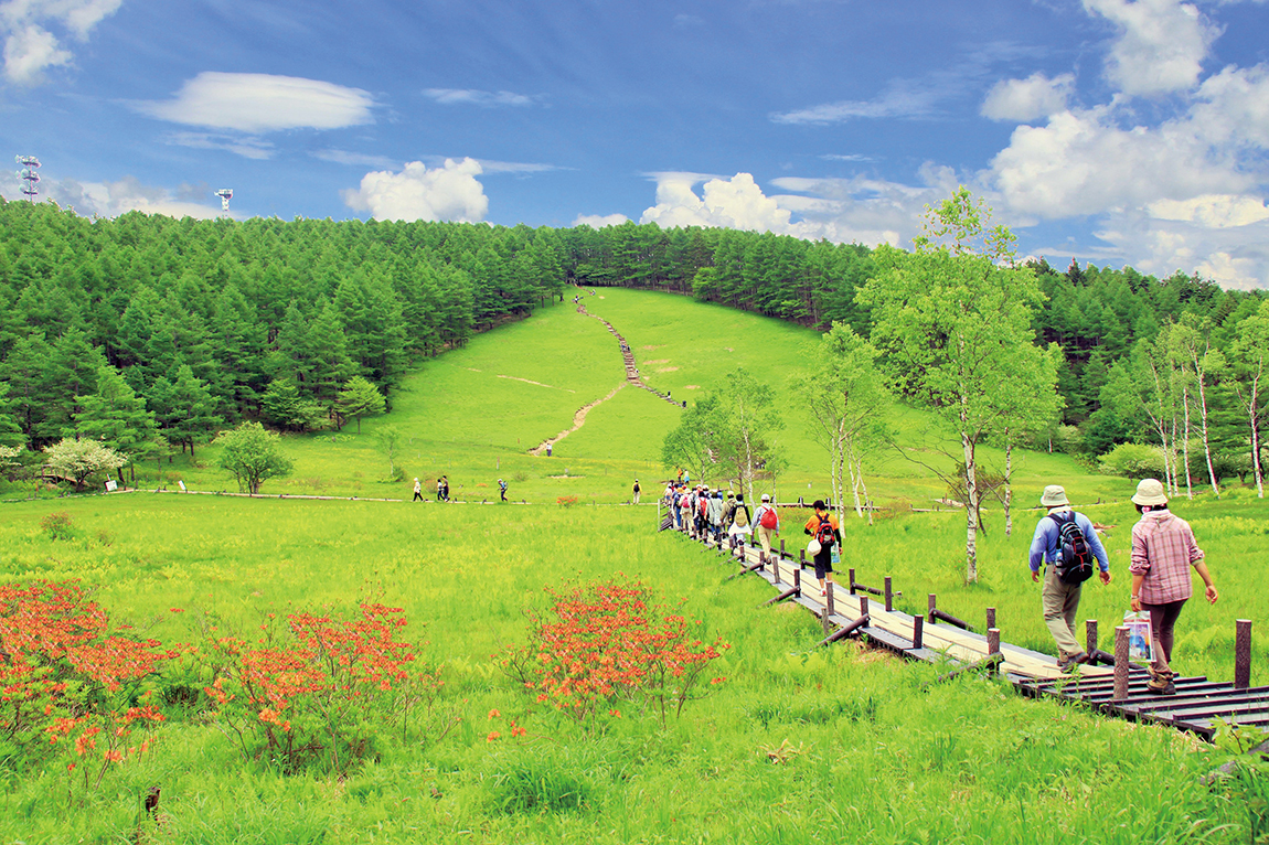 912b223181ada7646f86717a448e52