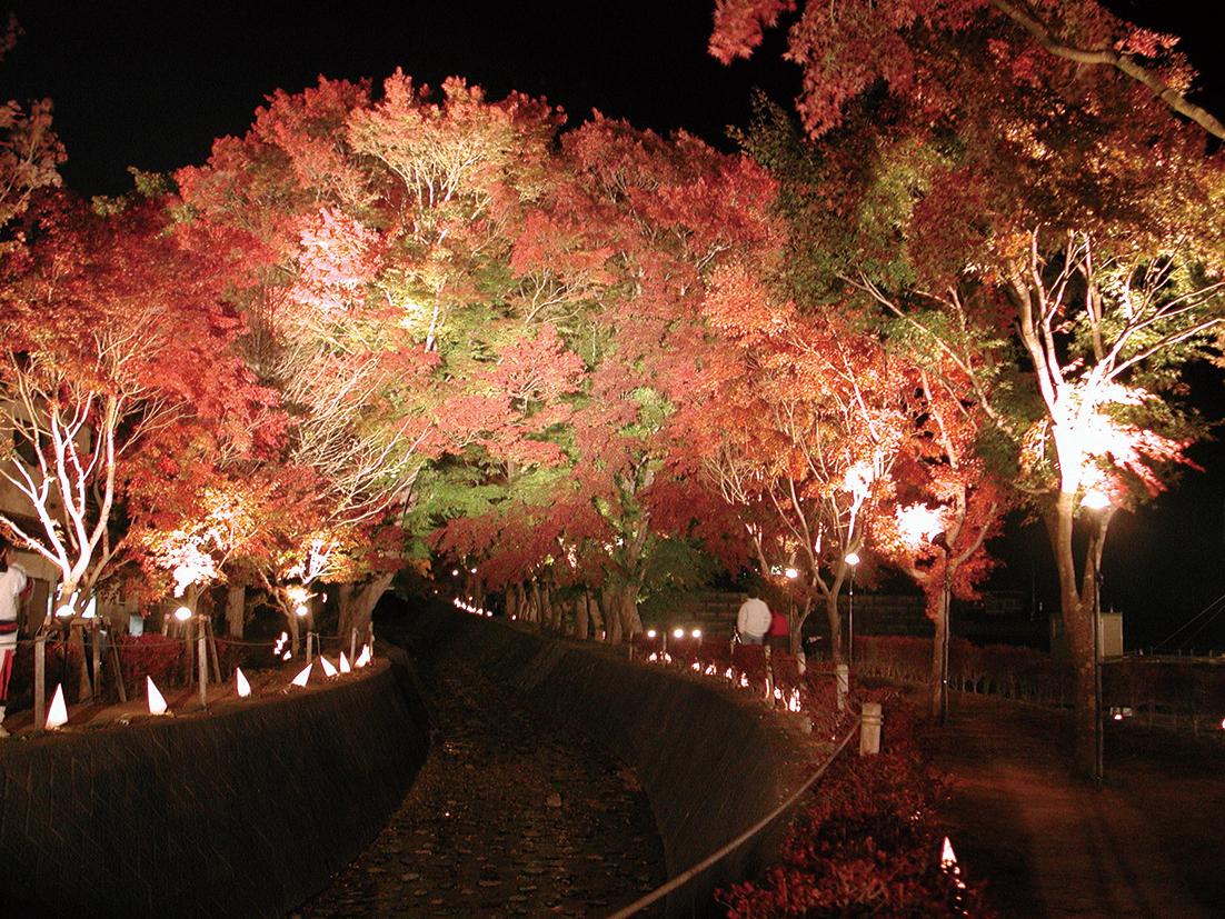 開催期間】今年は11月1日〜30日「第27回富士河口湖紅葉まつり」河口