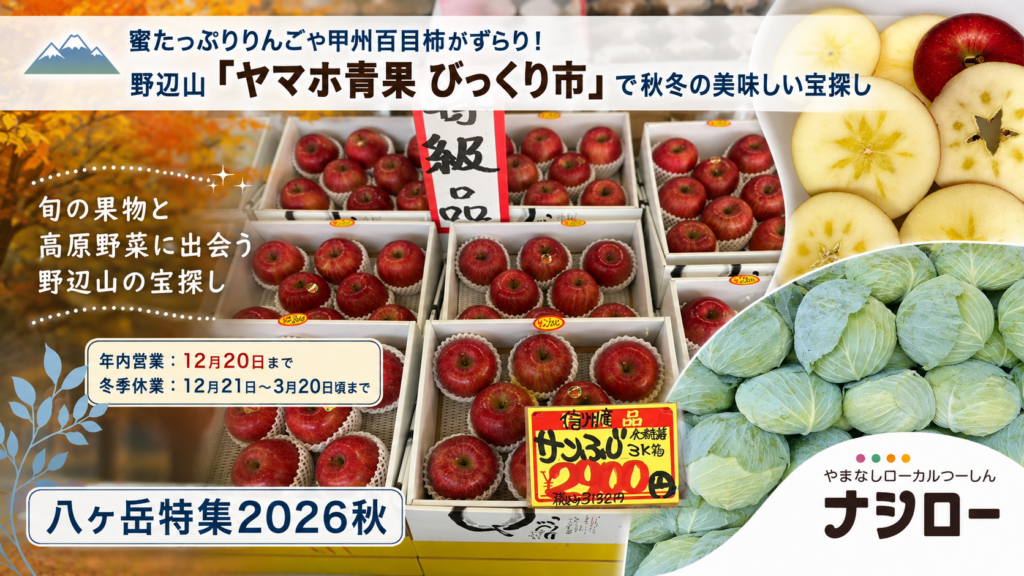 蜜たっぷりりんごや甲州百目柿がずらり!野辺山「ヤマホ青果 びっくり市」で秋冬の美味しい宝探し